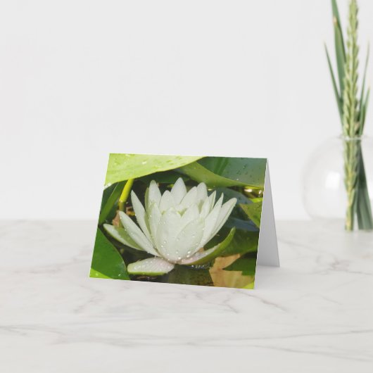 White Waterlily Sympathy Card Kaart (Voorkant)