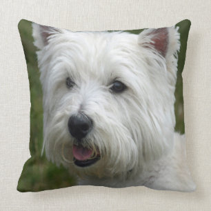 WHiTE WeST HiGHLaND TeRRiER Kussen