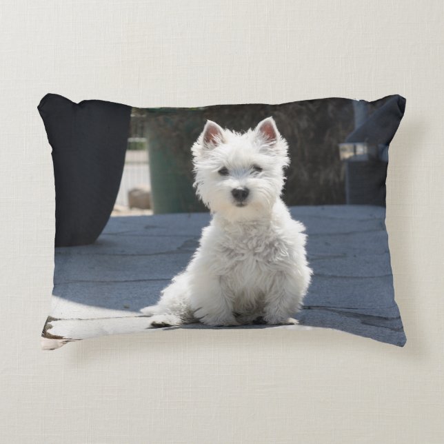White West Highland Terrier Sitting on Sidewalk Accent Kussen (Voorkant)