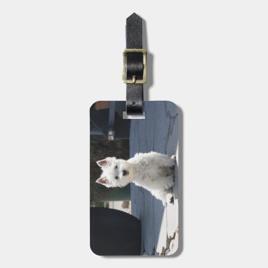 White West Highland Terrier Sitting on Sidewalk Bagagelabel (Voorkant verticaal)