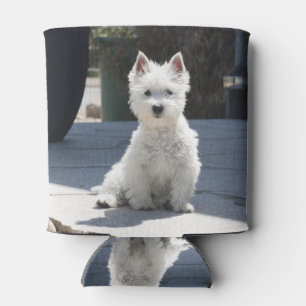 White West Highland Terrier Sitting on Sidewalk Blikjeskoeler