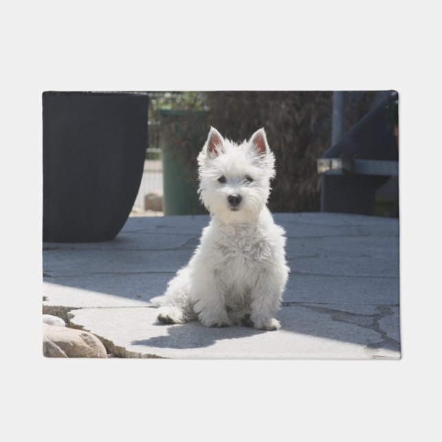 White West Highland Terrier Sitting on Sidewalk Deurmat (Voorkant)