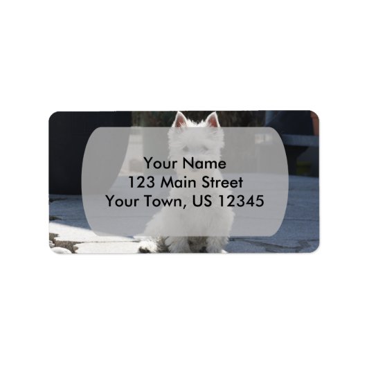 White West Highland Terrier Sitting on Sidewalk Etiket (Voorkant)
