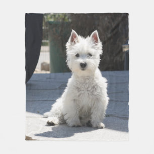 White West Highland Terrier Sitting on Sidewalk Fleece Deken