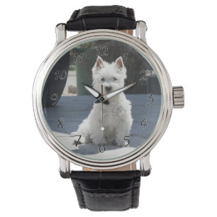 White West Highland Terrier Sitting on Sidewalk Horloge