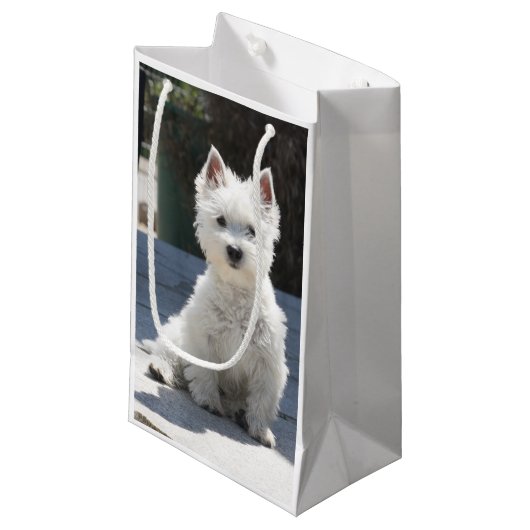 White West Highland Terrier Sitting on Sidewalk Klein Cadeauzakje (Voorkant Gekanteld)