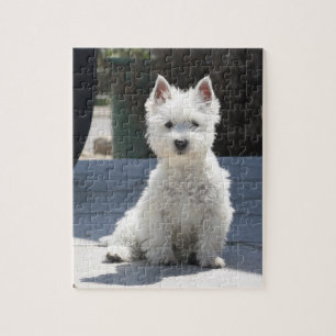 White West Highland Terrier Sitting on Sidewalk Legpuzzel