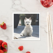 White West Highland Terrier Sitting on Sidewalk Servetten (Insitu)