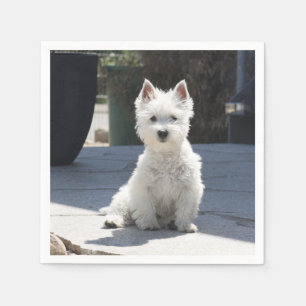 White West Highland Terrier Sitting on Sidewalk Servetten