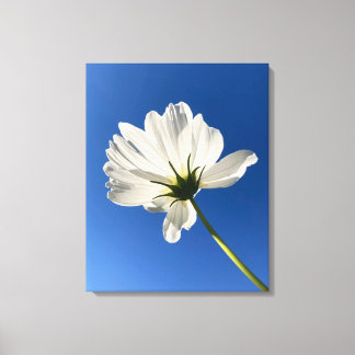 White Wild Flower Canvas Art Afdruk