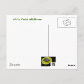 White Wild Violet Coordating Items Briefkaart (Achterkant)