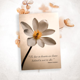 White Wildflower Hartelijk dank voor uw sympathiek Bedankkaart