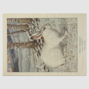White Winter Rabbit Ephemera Decoupage Tissuepapier