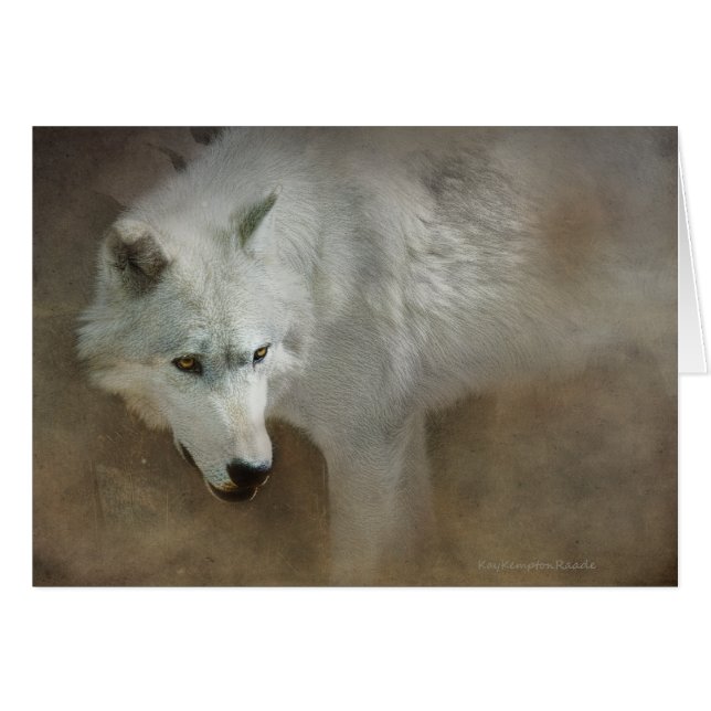 White Wolf (Voorkant Horizontaal)
