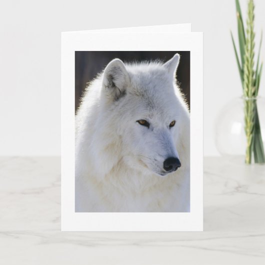 White Wolf Kaart (Voorkant)