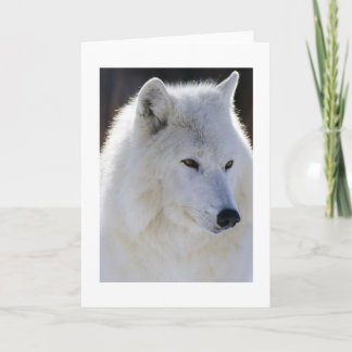 White Wolf Kaart