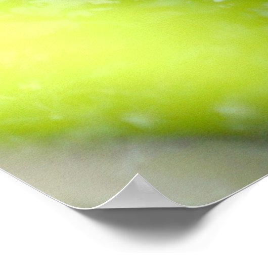 White Wolf Poster (Hoek)