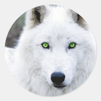 White Wolf Ronde Sticker