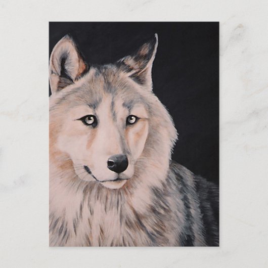 White Wolf schilderij van DiDi Briefkaart (Voorkant)