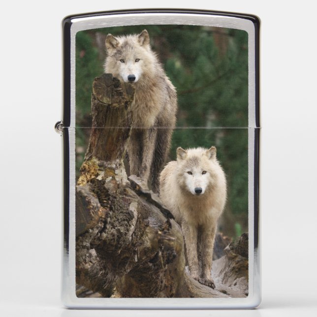 White Wolves' Realm (Voorkant)