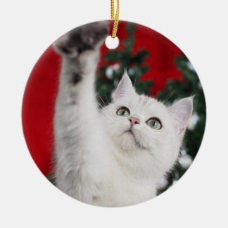 White XMAS Cat Keramisch Ornament