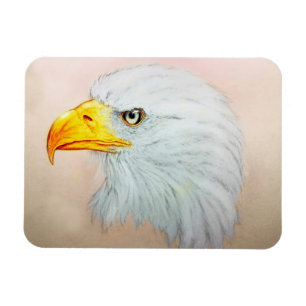 White & Yellow animal art, Photo Magnet - Eagle Magneet