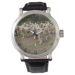 White Young Wooly Sheep Horloge