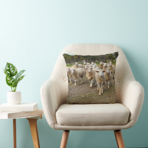 White Young Wooly Sheep Kussen
