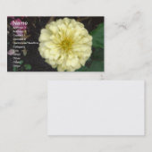White Zinnia Visitekaartje (Voorkant / Achterkant)