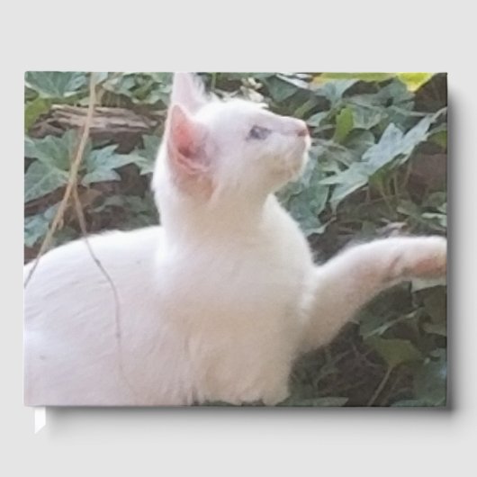 whitecat GuestBook Gastenboek (Voorkant)