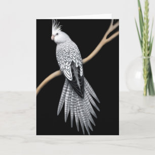 Whitefaced Pearl Pied Cockatiel Card Kaart