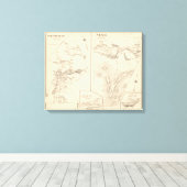 Whitefield, Stark Canvas Afdruk (Insitu (Houten vloer))