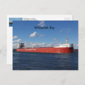 Whitefish Bay-postkaart Briefkaart (Voorkant / Achterkant)
