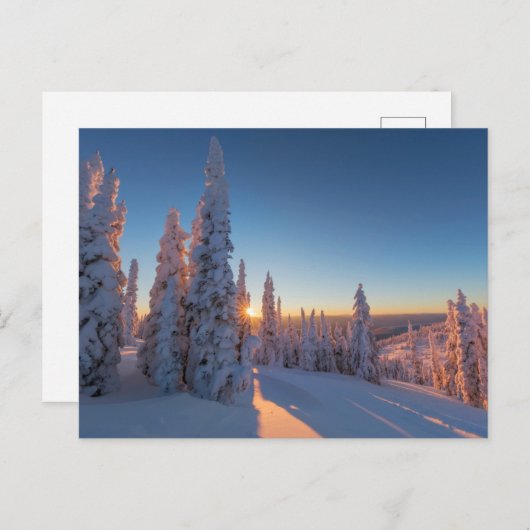 Whitefish, Montana Briefkaart (Voorkant / Achterkant)