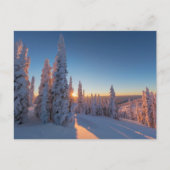 Whitefish, Montana Briefkaart (Voorkant)