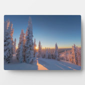 Whitefish, Montana Fotoplaat (voorkant)