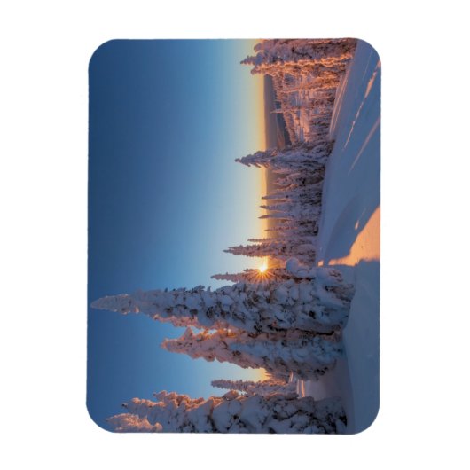 Whitefish, Montana Magneet (Verticaal)