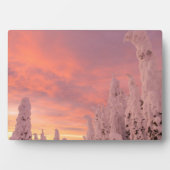 Whitefish Range | Whitefish, Montana Fotoplaat (voorkant)