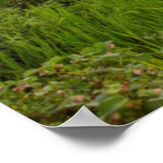 Whitefish River with nice sunrise clouds Poster (Hoek)