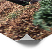 Whitefly control poster (Hoek)