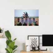 Whitefly control poster (Thuiskantoor)