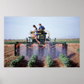 Whitefly control poster (Voorkant)