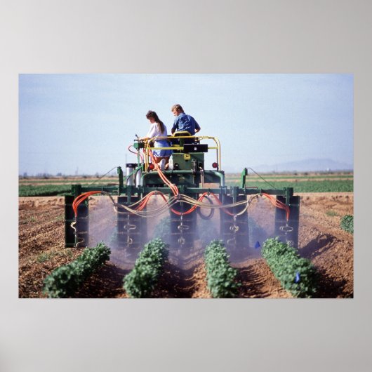 Whitefly control poster (Voorkant)