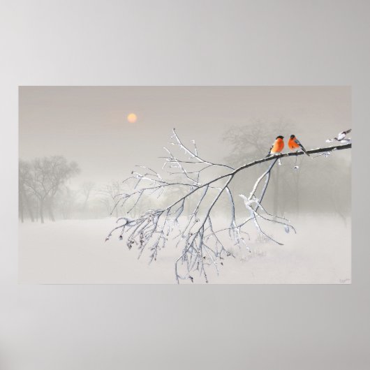 Whiteout Poster (Voorkant)