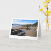 Whitesands Bay, Pembrokeshire Kaart (Gele Bloem)