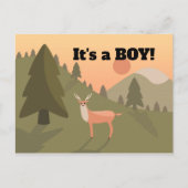 Whitetail Buck Baby Aankondigingskaart (Voorkant)