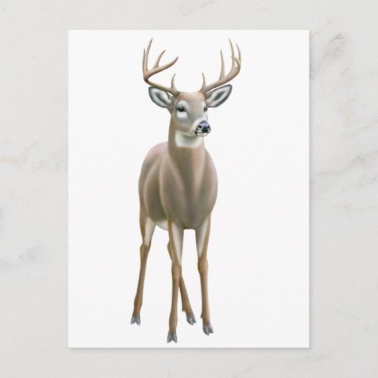 Whitetail Buck-Briefkaart Briefkaart (Voorkant)