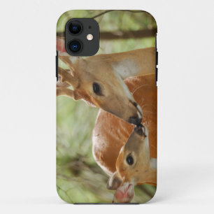 Whitetail Buck en Fawn Bonding iPhone 11 Hoesje