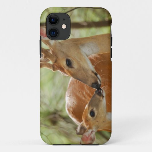 Whitetail Buck en Fawn Bonding Case-Mate iPhone Case (Achterkant)