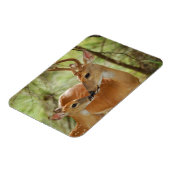 Whitetail Buck en Fawn Bonding Magneet (Linkerzijde)